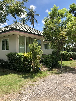 1 Bed Condo — photo 2
