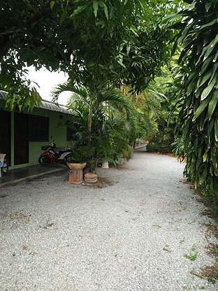1 Bed Condo — photo 4