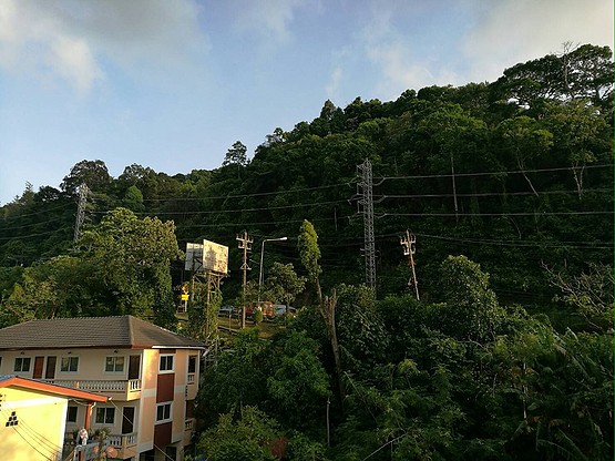 1 Bed Condo · Kathu, phuket — photo 2