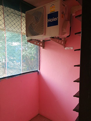 1 Bed Condo — photo 4