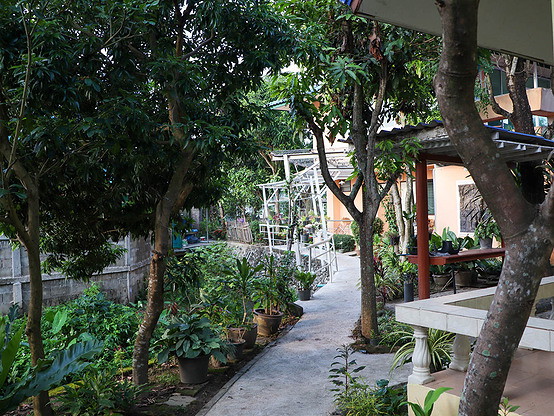 1 Bed Condo — photo 3