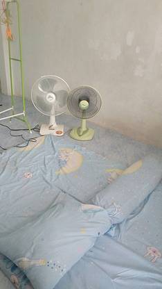 1 Bed Condo · pathum_thani — photo 4