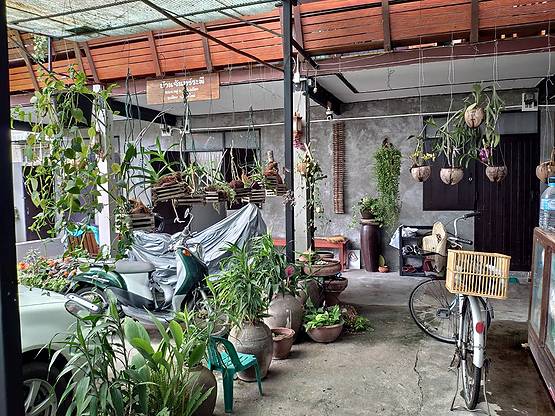 1 Bed Condo · Mueang Chiang Mai, chiang_mai — photo 3