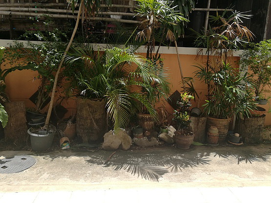 1 Bed Condo — photo 3