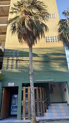 1 Bed Condo · Lat Krabang, bangkok — photo 2
