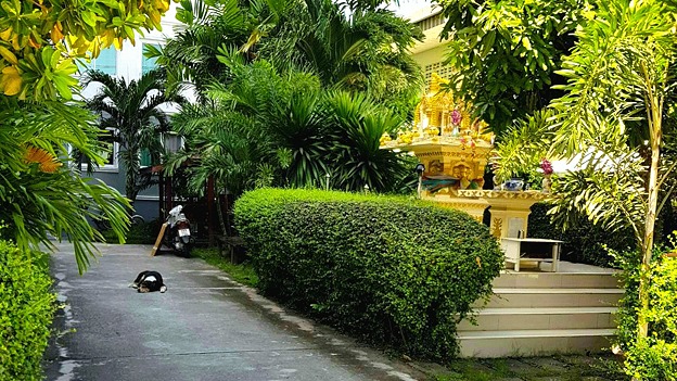Condo · Bang Phli, samut_prakan — photo 5