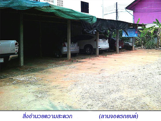 1 Bed Condo