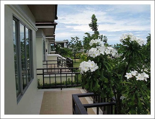 1 Bed Condo — photo 4