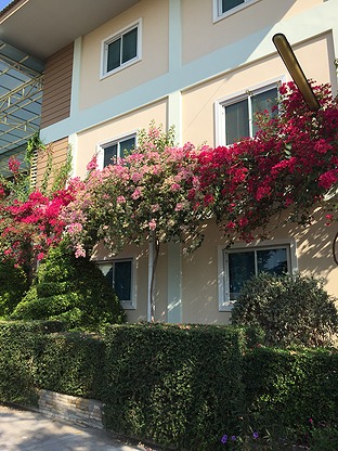 1 Bed Condo