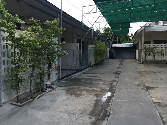1 Bed Condo