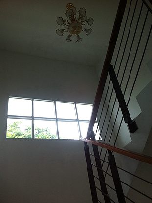 1 Bed Condo