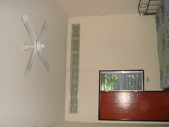 1 Bed Condo — photo 5
