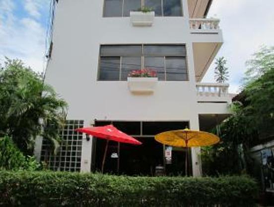 The Red Hibiscus