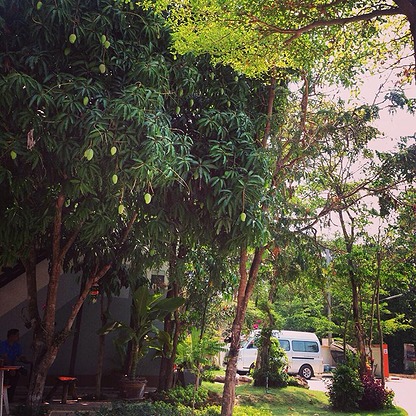 1 Bed Condo — photo 2