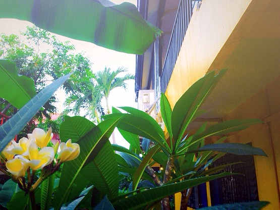 1 Bed Condo — photo 3
