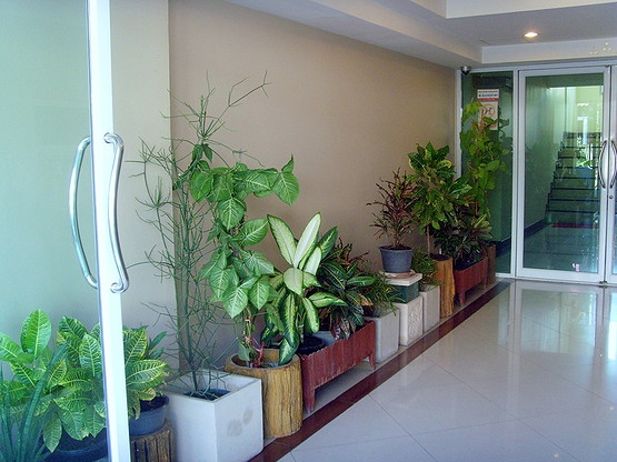 1 Bed Condo · pathum_thani — photo 4
