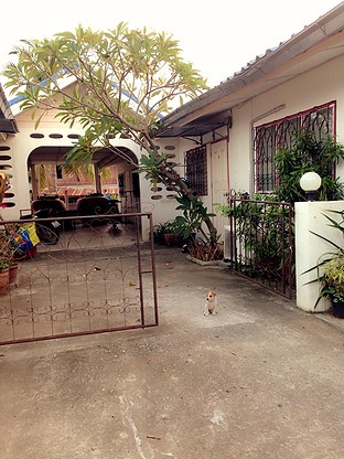1 Bed Condo