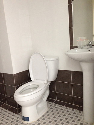 1 Bed Condo — photo 4