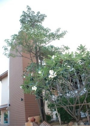 Condo · Chatuchak, bangkok