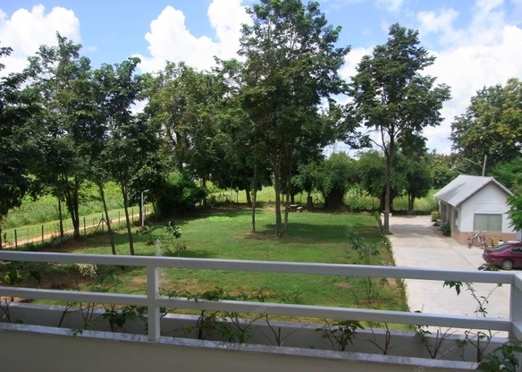 Mango Forest — photo 2