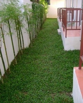 Condo · Mueang Chiang Mai, chiang_mai — photo 2