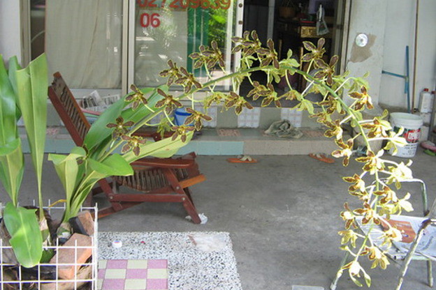 Condo · Prawet, bangkok