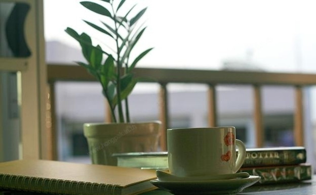 Condo · Mueang Chiang Mai, chiang_mai