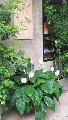 Condo · Mueang Chiang Mai, chiang_mai — photo 3