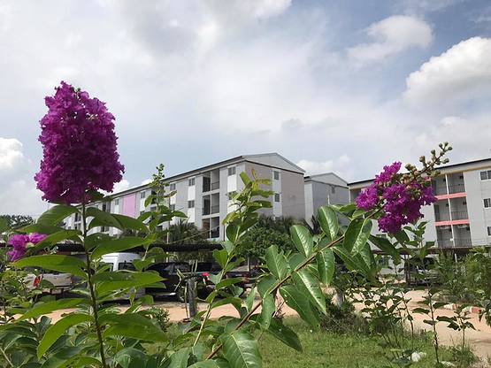 1 Bed Condo · Si Racha, chon_buri