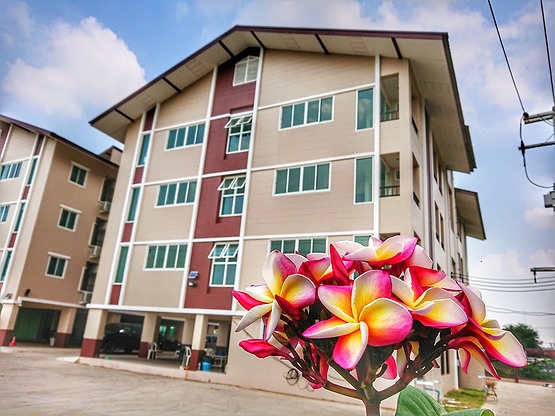 1 Bed Condo