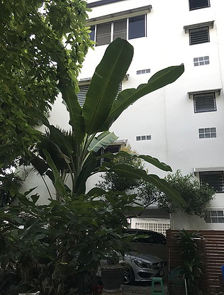 1 Bed Condo · bangkok
