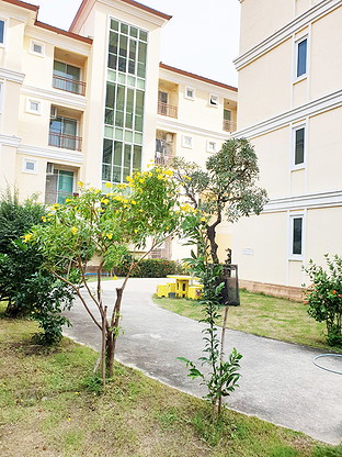 1 Bed Condo — photo 2