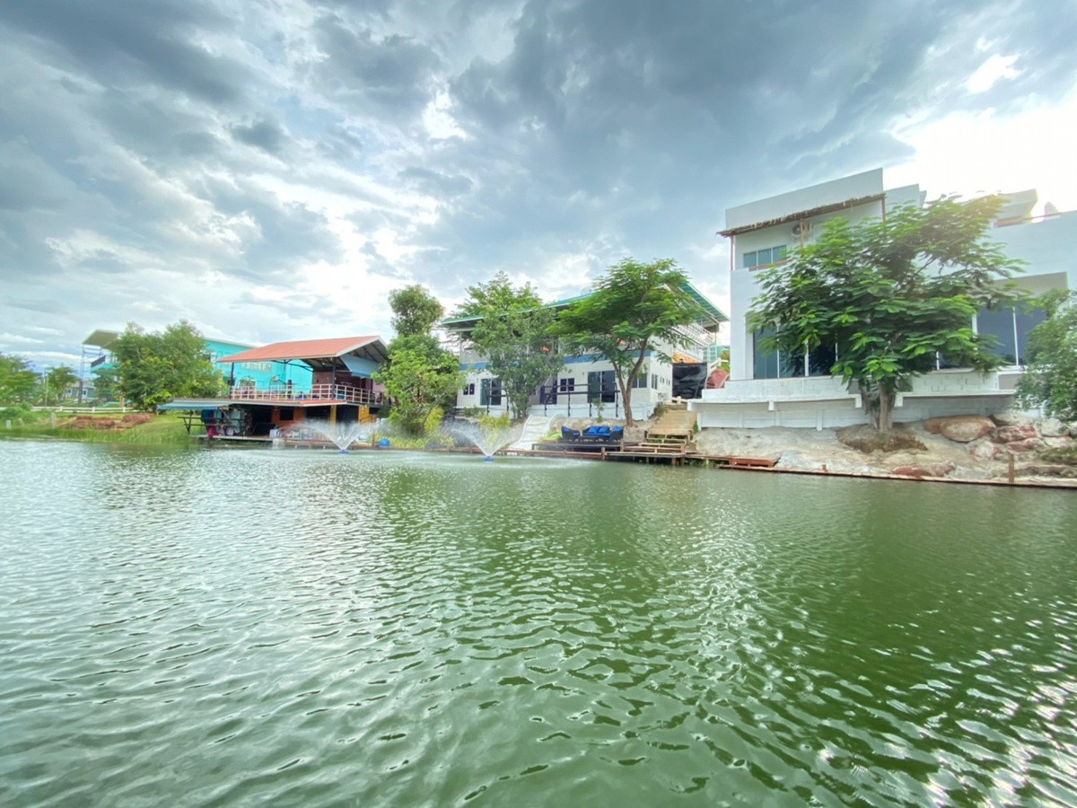 1 Bed Condo