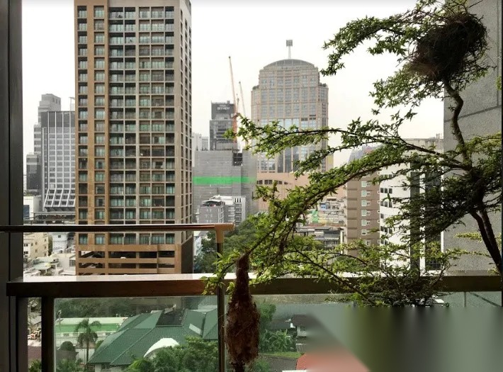 1 Bedroom Condo for sale at The Address Sukhumvit 28 — photo 2