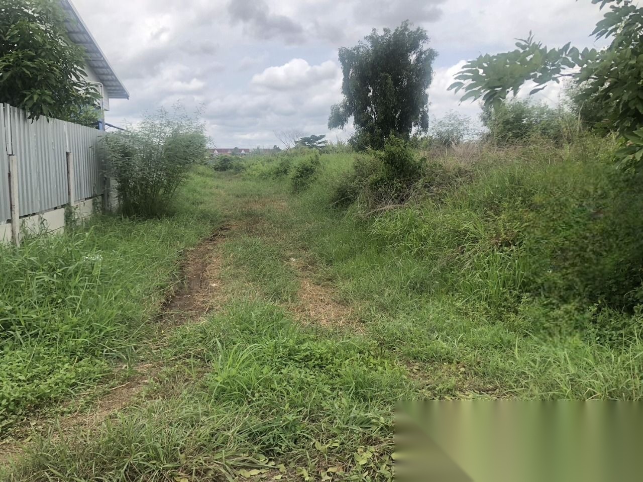 Land for Sale Soi Leap Wari 59 Nong Chok, 61 SQM — photo 1