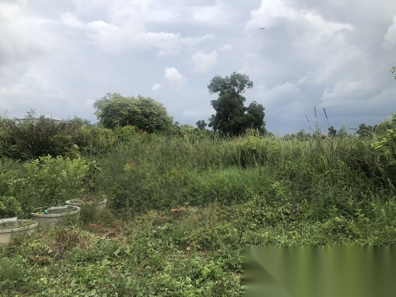 Land for Sale Soi Leap Wari 59 Nong Chok, 61 SQM — photo 3
