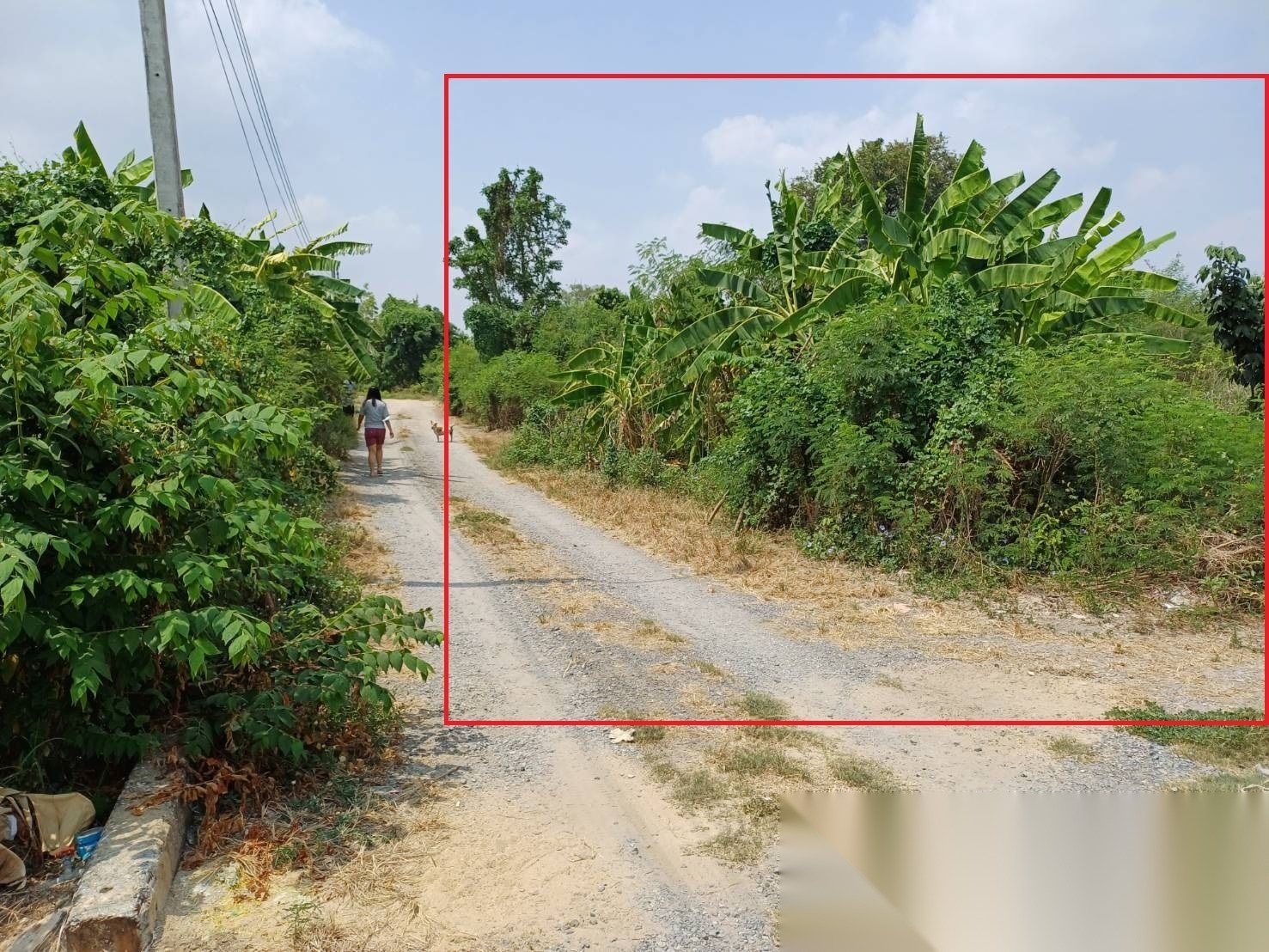 1 Rai Land for Sale in Soi Sai Mai 52 — photo 1