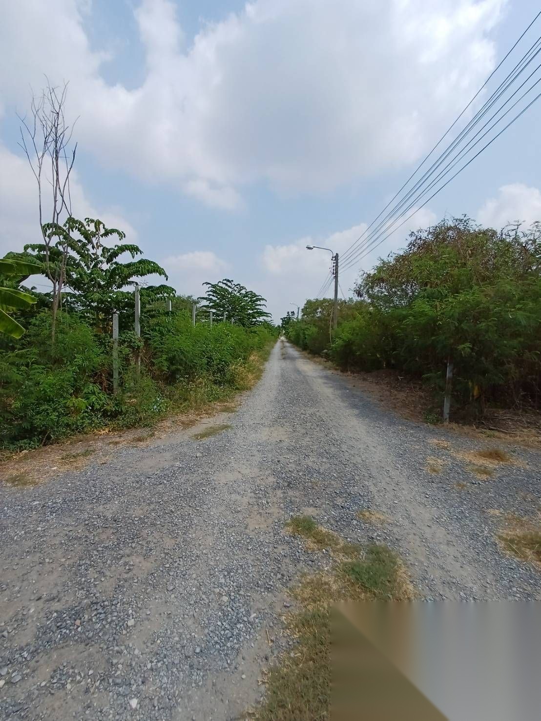 1 Rai Land for Sale in Soi Sai Mai 52 — photo 4
