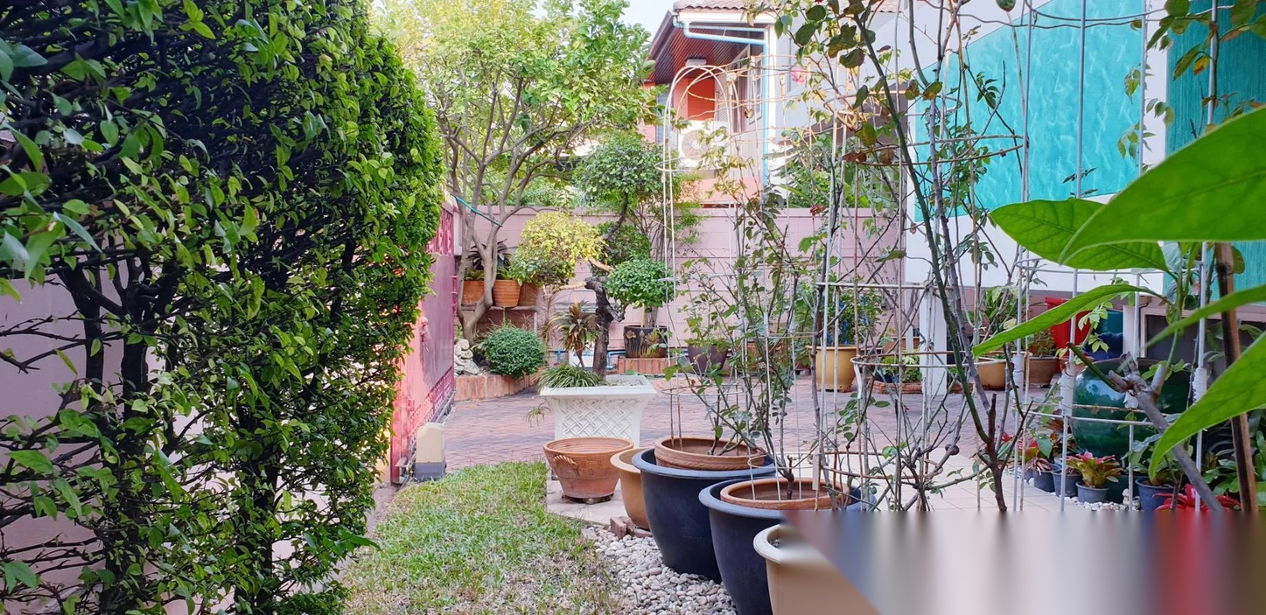 3 Bedroom House for sale at Khlongtan Nivet — photo 4