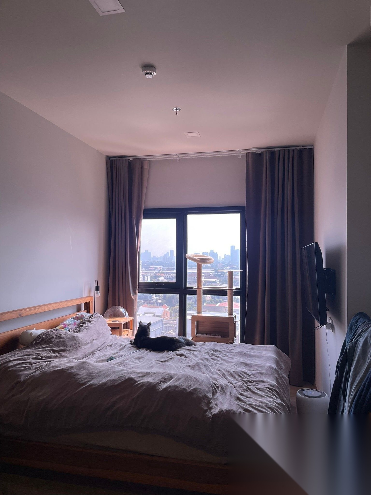 2 Bedroom Condo for sale at Metris Pattanakarn - Ekkamai — photo 4