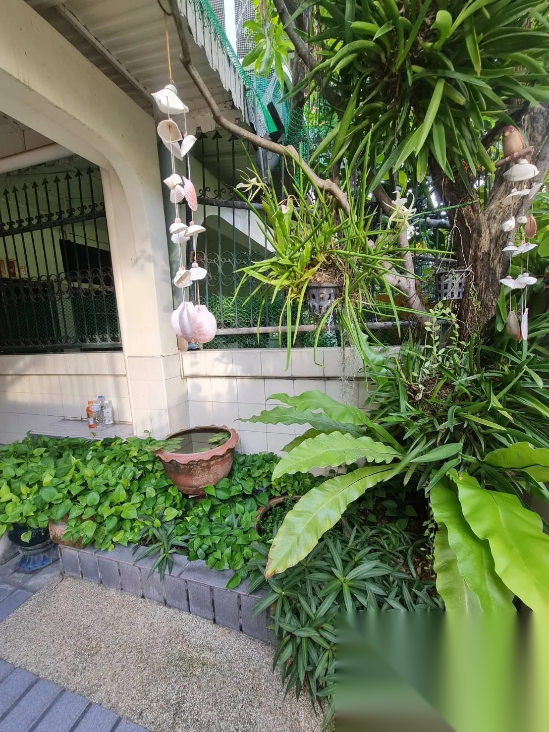 Townhouse in Ekkamai from BTS Ekkamai — photo 3
