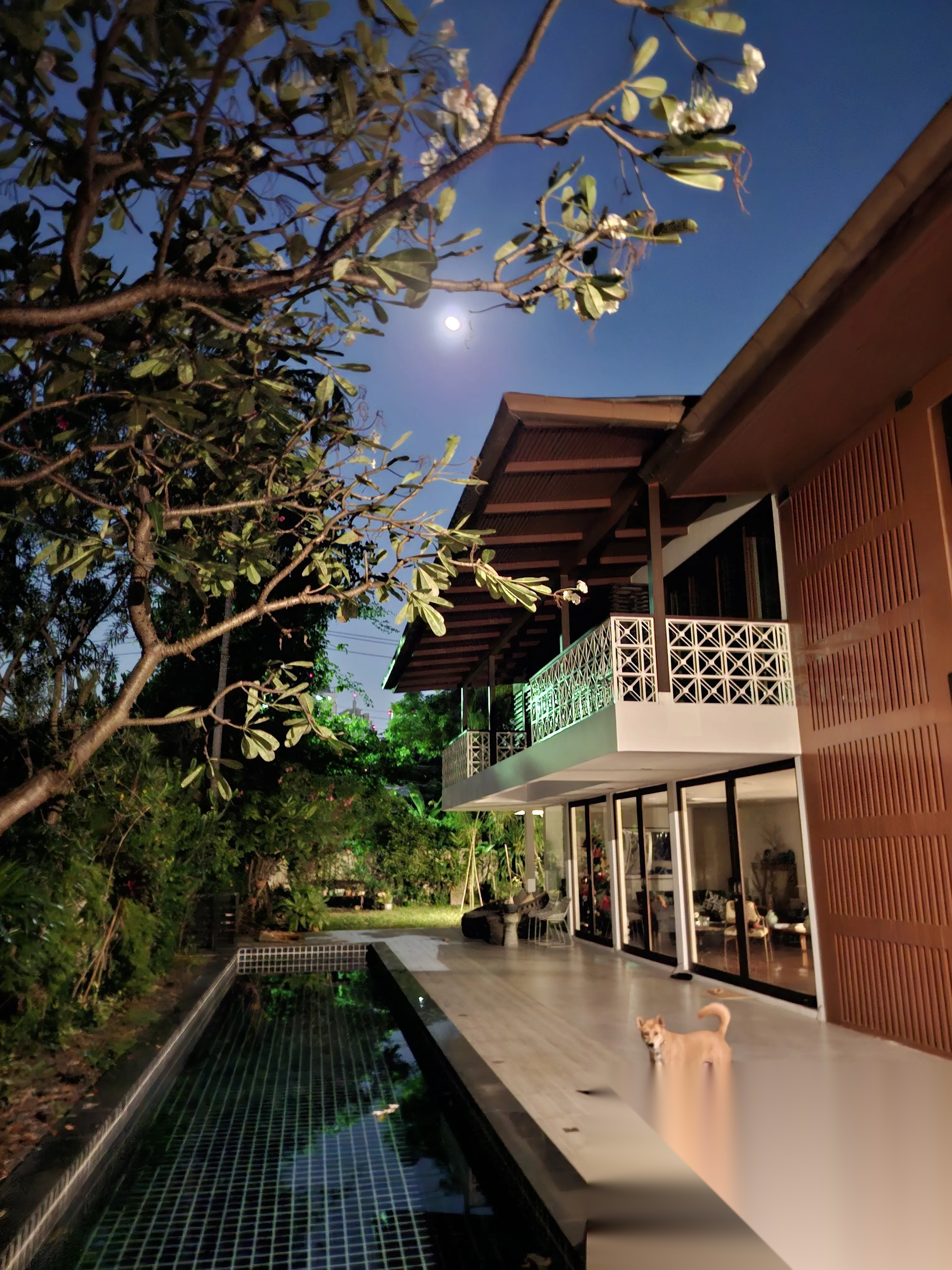 A 1960's Architectural Renovated House for Sale — photo 2